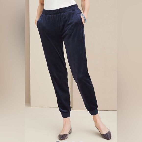 Chico’s SZ 4 Zenergy Velour Jogger Pants - Picture 1 of 11